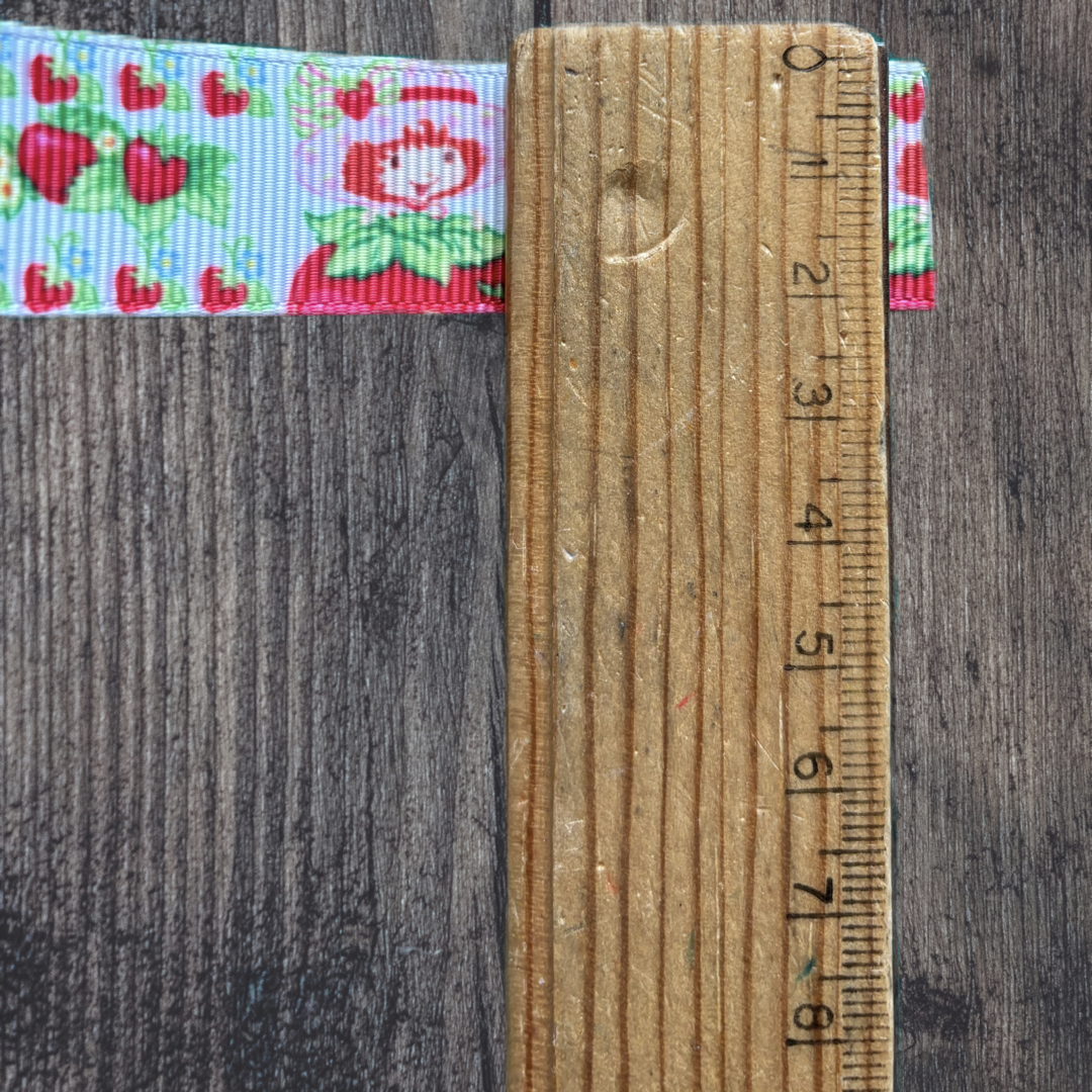 Strawberry Shortcake Grosgrain 22mm Ribbon
