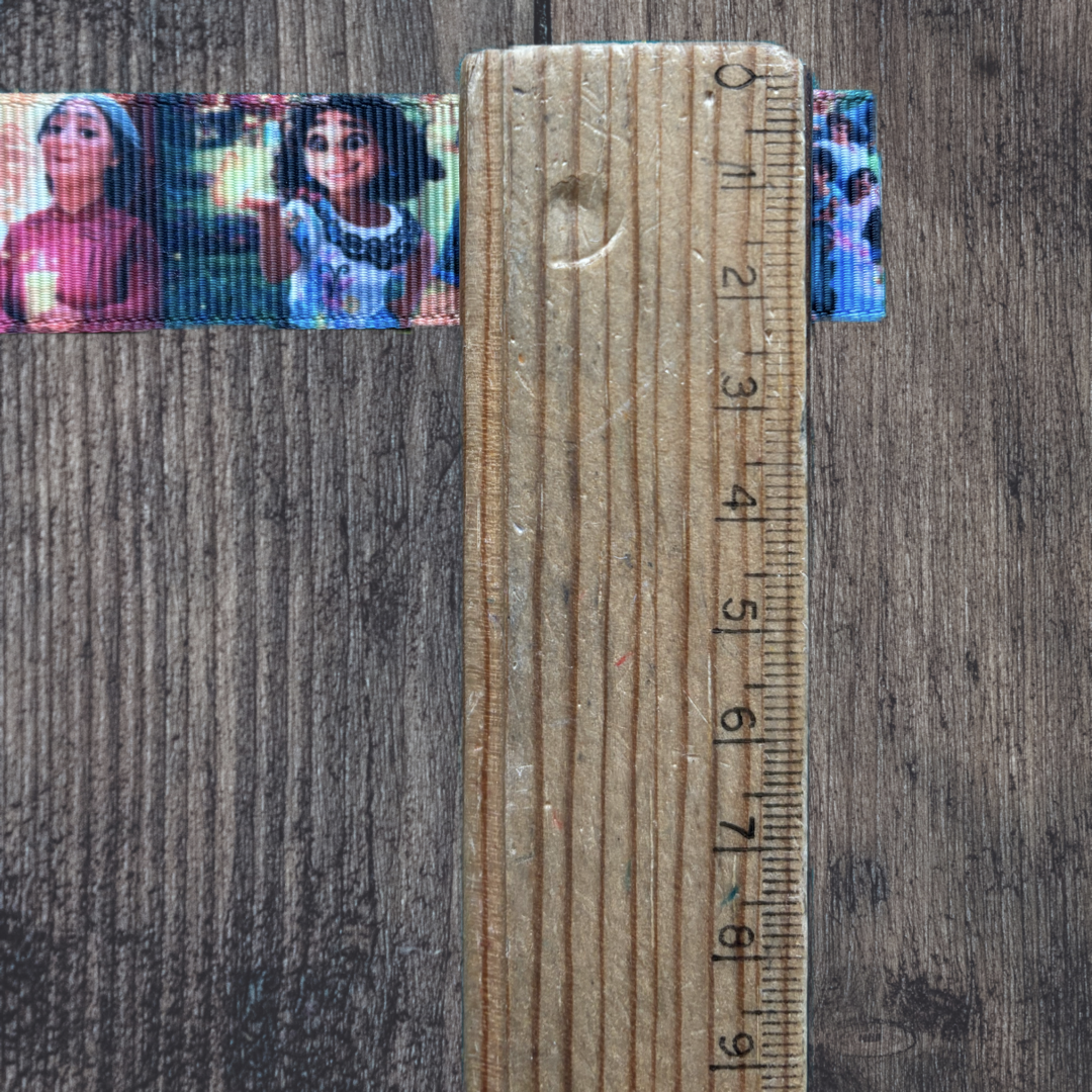 Encanto Mirabel, Family, Abuela Grosgrain 22mm Ribbon