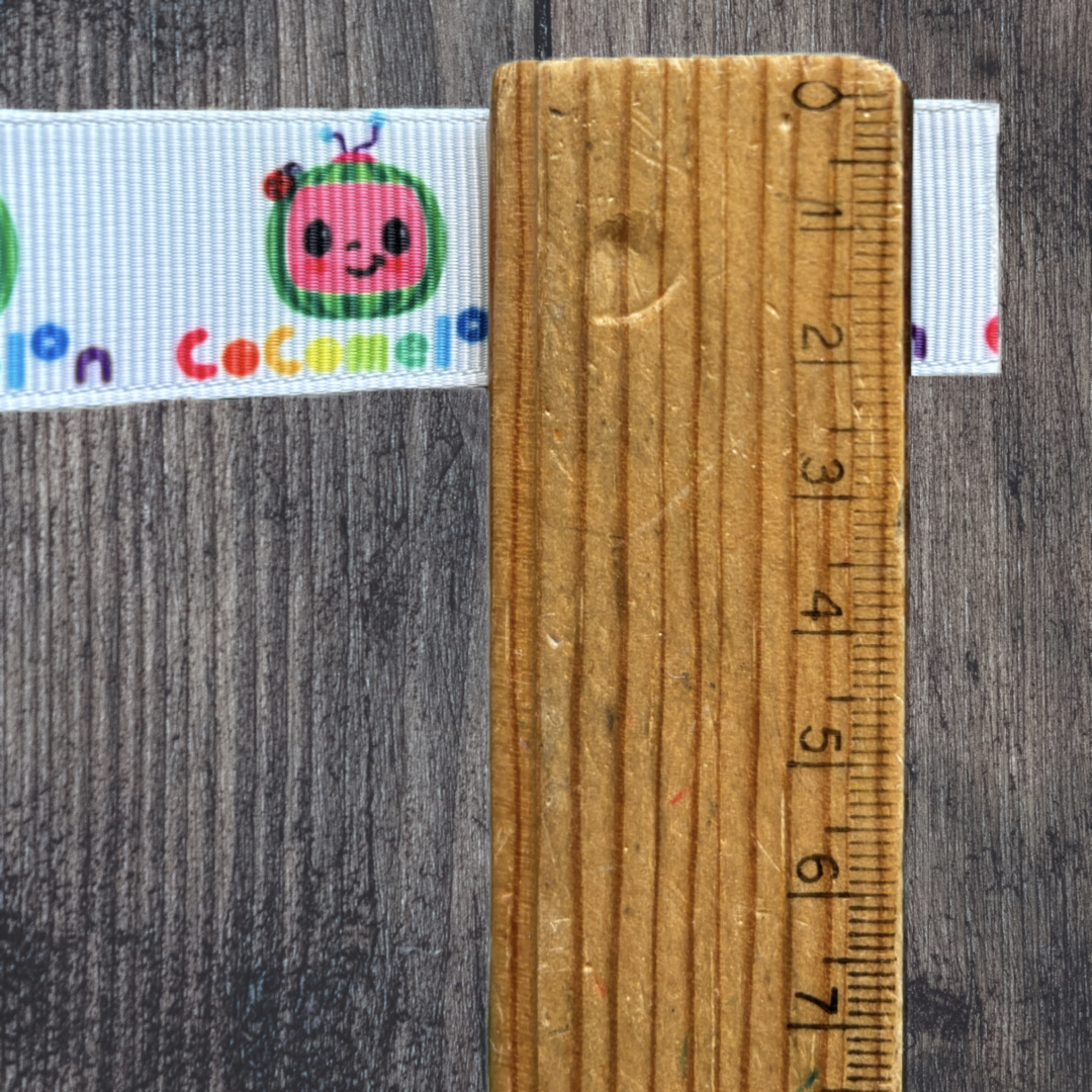 Melon Kids Grosgrain 22mm Ribbon