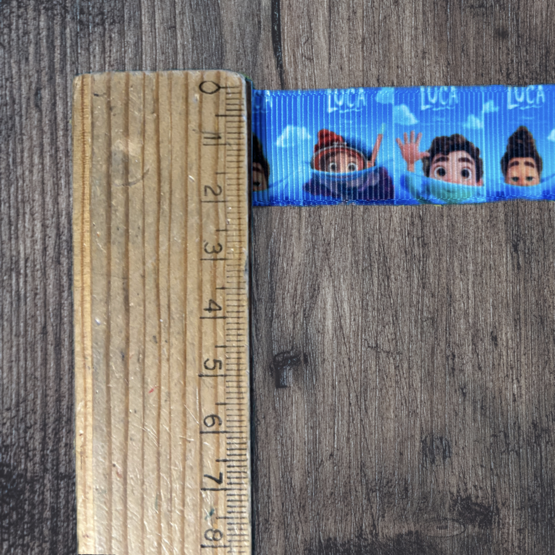Luca Grosgrain 22mm Ribbon