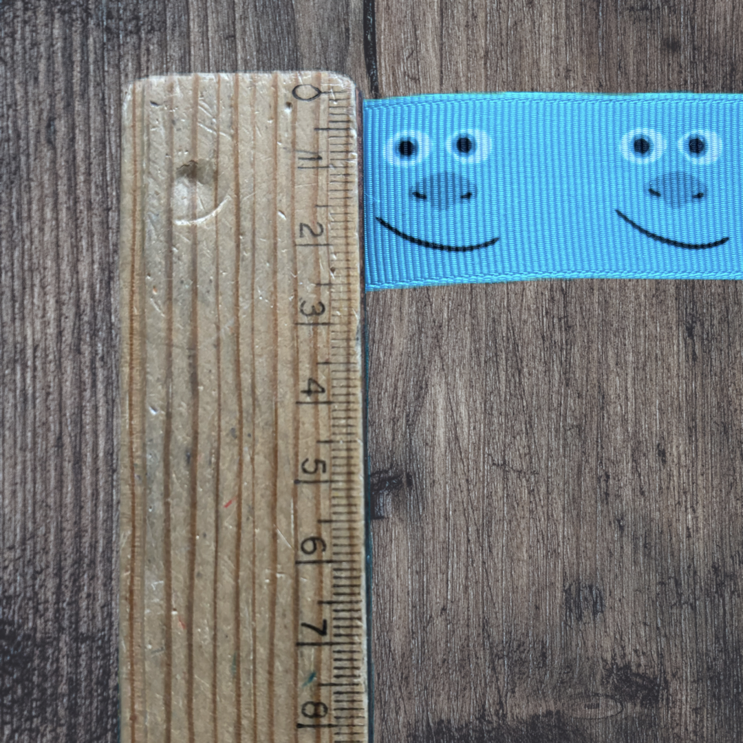 Monsters Inc. Grosgrain 25mm Ribbon