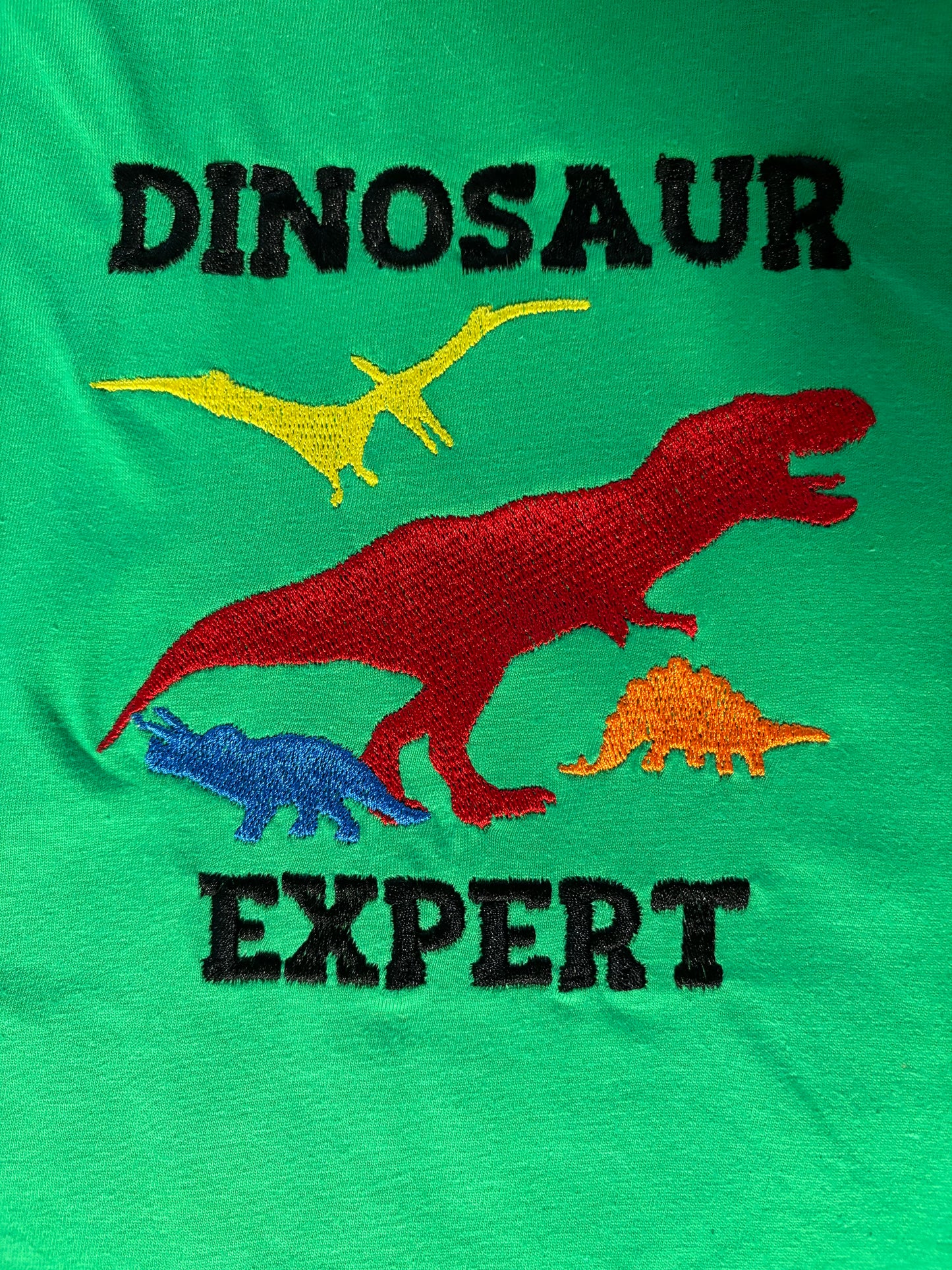 Dinosaur Expert