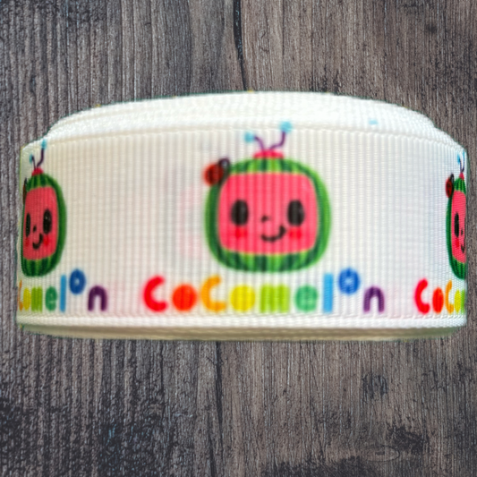 Melon Kids Grosgrain 22mm Ribbon