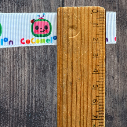 Melon Kids Grosgrain 22mm Ribbon