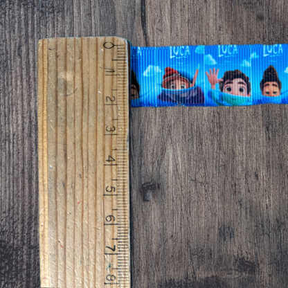 Luca Grosgrain 22mm Ribbon