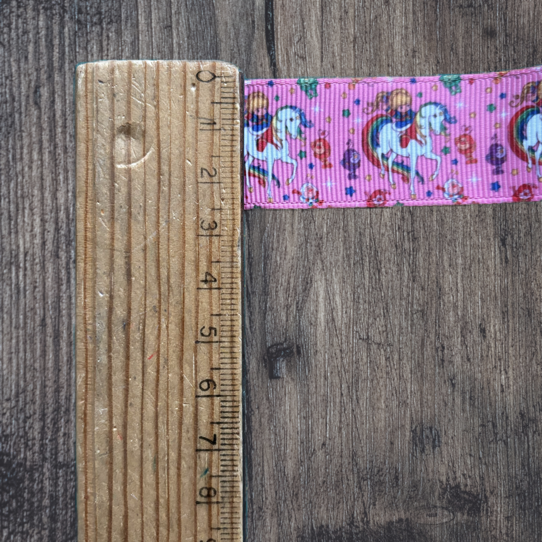 Rainbow Brite Grosgrain 25mm Ribbon