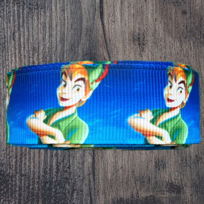 Peter Pan Grosgrain 22mm Ribbon