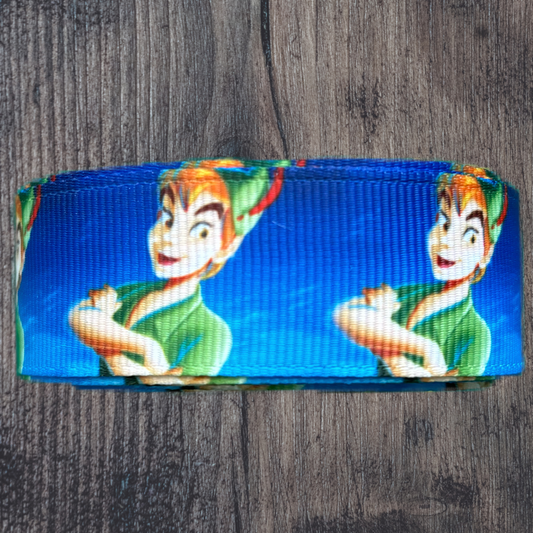 Peter Pan Grosgrain 22mm Ribbon