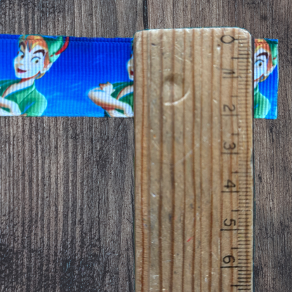 Peter Pan Grosgrain 22mm Ribbon