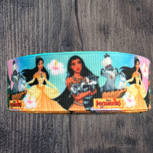 Pocahontas with Orange Bottom Grosgrain 25mm Ribbon